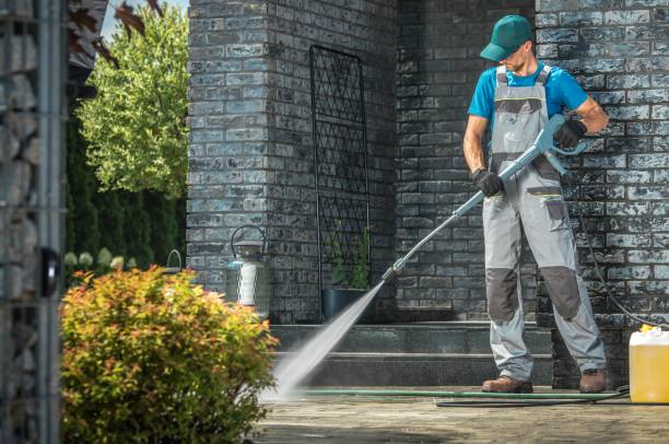 Best Solar Panel Cleaning  in Fruitland, NC