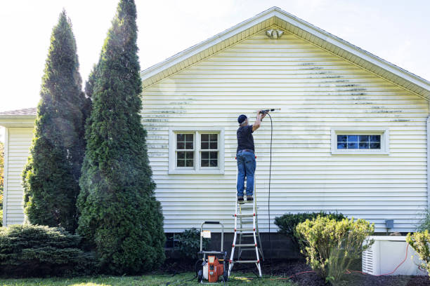 Best Fence Cleaning  in Fruitland, NC